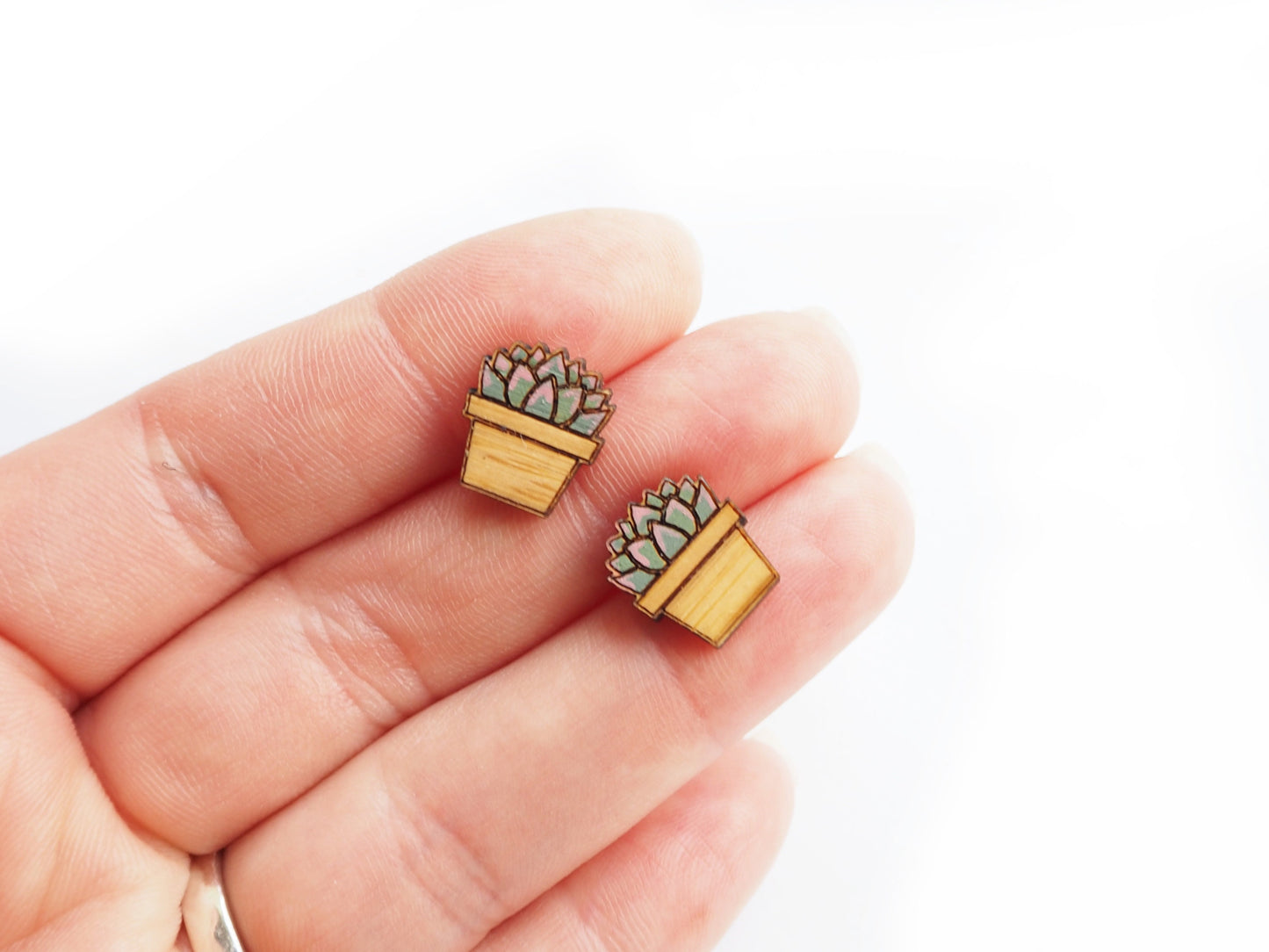 Succulent Earrings, Cactus Studs, Plant Gifts For Her, Cacti Earrings