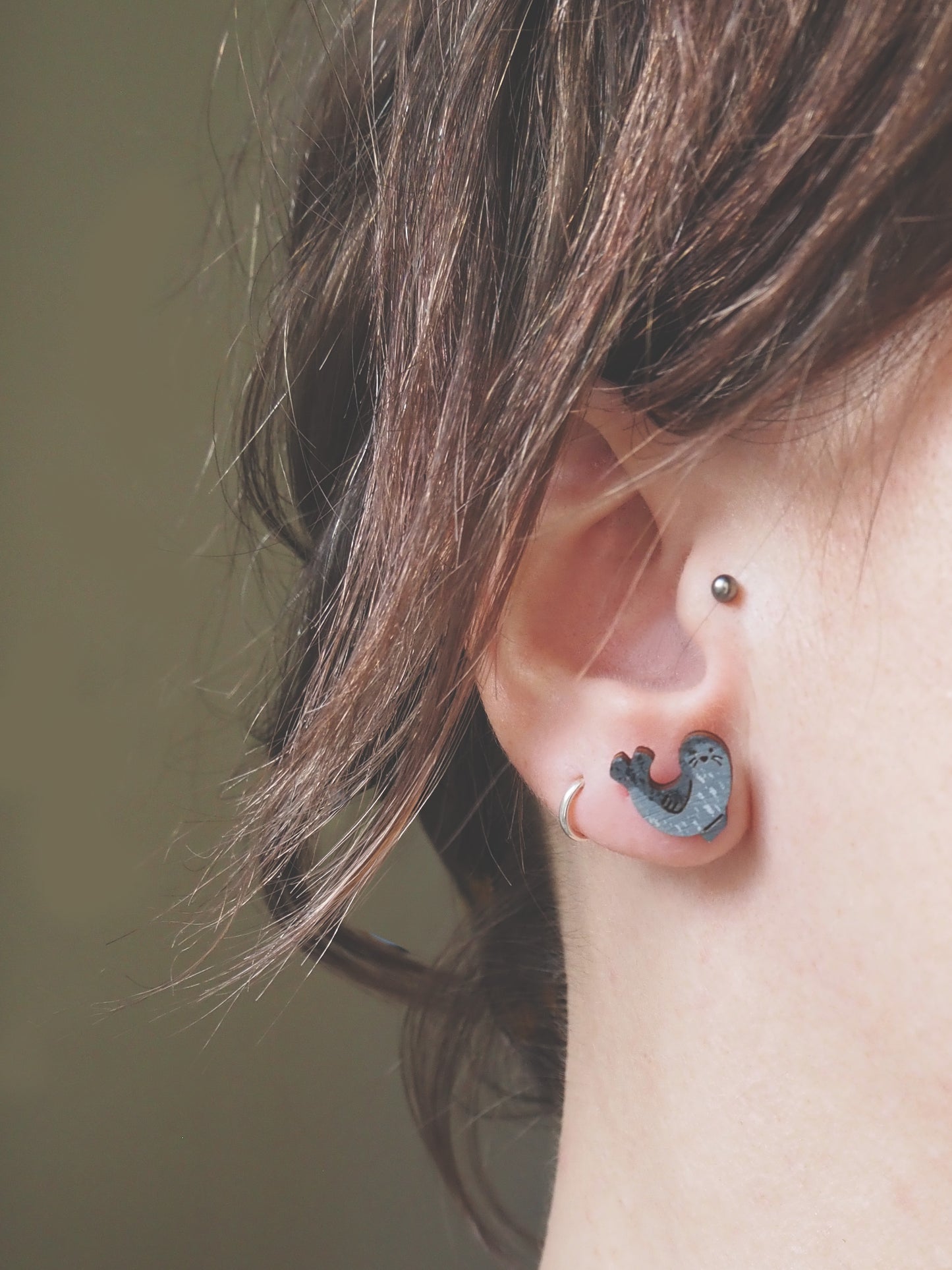 Seal Stud Earrings - Hand Painted Common Seals